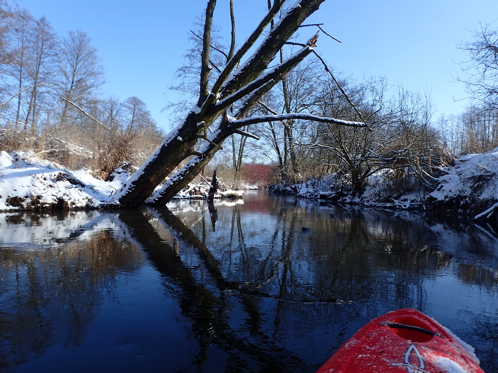 Kajaki na Białce